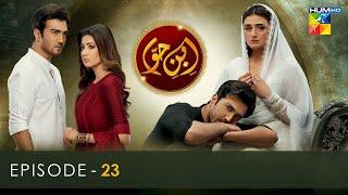 Ibn-e-Hawwa - Episode 23 [𝐂𝐂]  16th July 2022  - HUM TV