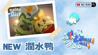 潤水鴨登場！料理必看分析 【Pokemon Sleep 寶可夢睡覺】