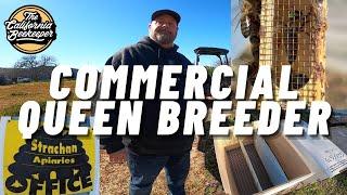 Large Commercial California Queen Breeder of New World Carniolan - Strachan Apiaries