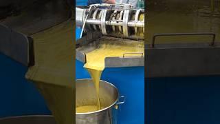 QiFeng 6YL-168 screw oil press machine to press rapeseeds. Oil making machine. Manufacture