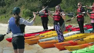 Kayaking 101: Explore the Seashore in an Exciting Way