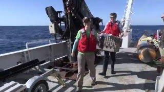 R/V Endeavor: EN572 Biological Oceanographer