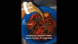 Cara Basmi kuman dengan Eco enzyme