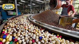 How Coffee Capsules Are Made: MASSIVE Coffee Factory And Processing Technology