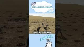 这就是我们中国人坚信的人定胜天啊  #黄土高原 #冷知识 #万万没想到 #娱乐评论大赏 #中国