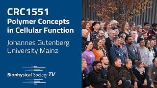SFB 1551 - Polymer Concepts in Cellular Function: An Inspiring Collaborative Endeavour