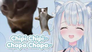 Uto Sings Chipi Chapa And Happy Cat Song