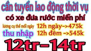 Tuyển Công Nhân Thời Vụ TẠI BÌNH DƯƠNG Thu nhập cao|Việc Làm Bình Dương Tập 62|Anh Bảy Miền Tây