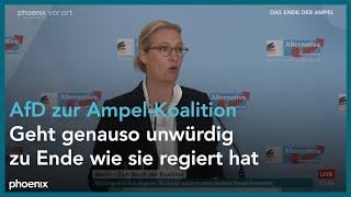 Bruch der Ampelkoalition: Statement der AfD-Fraktionsspitze nach Sondersitzung | 07.11.24