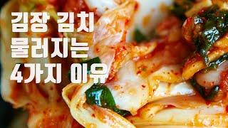 김장꿀팁! 배추 물러지는 4가지 이유 (Feat. 해남 농부삼촌)