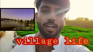 #VLOG26 VILLAGE DAILY ROUTINE AFFU FARU VLOG