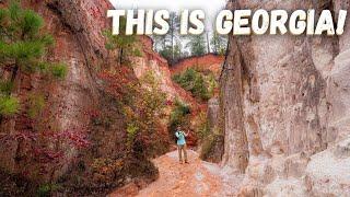 Providence Canyon State Park - Little Grand Canyon of Georgia!