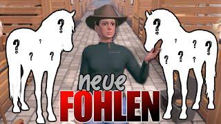 wir DECKEN nur meine LIEBLINGS-STUTEN  Equestrian the Game