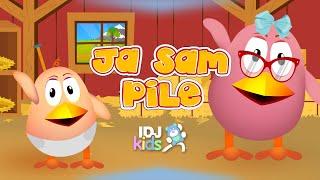 PILICI - JA SAM PILE // NAJLEPSE DECIJE PESME //  @IDJKids