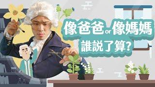 像爸爸 or 像媽媽，誰說了算？【LIS科學史】（植物有性生殖）