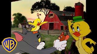 Tom & Jerry | Quack Quack, it's Little Quacker!  | Classic Cartoon Compilation | @wbkids​