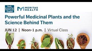 Powerful Medicinal Plants and the Science Behind Them