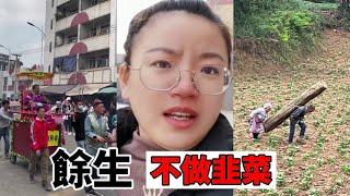 韭菜的觉醒：看看国外吧，半年休假，半年上班，余生不再做韭菜！| Reaction Video