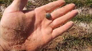 Colonial Relics // Metal Detecting Virginia // XP Deus