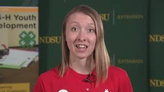 What is a 4-H Club?