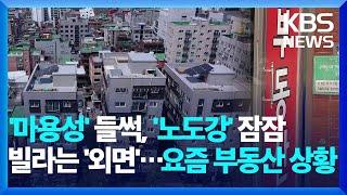 '마용성' 들썩, '노도강' 잠잠, 빌라는 '외면'…더 심해진 부동산 양극화 [친절한 뉴스K] / KBS  2024.07.08.