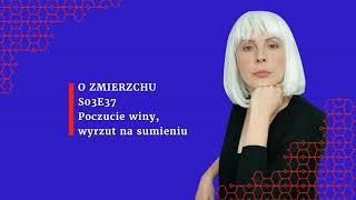 S03E37 Poczucie winy, wyrzut na sumieniu - O Zmierzchu