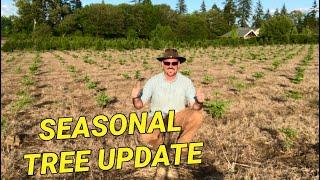 Christmas tree farm update:  How the changes we made are doing?