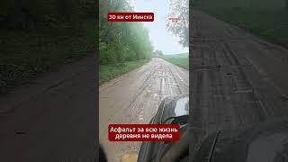 Правда жизни! Асфальт ни разу никто не ложил, а вот штрафы за траву будут первыми  #беларусь #штраф