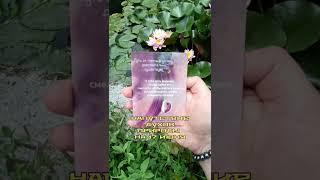 Напутствие Духов Природы на 17 июня 2025 от Марины Angelic #маринаangelic #подсказкаангелов