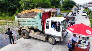 Impressive Action !! Huge Landfill by 5tons truck loading And D31P Bulldozer Push