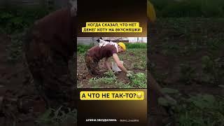 Согласны?#кот #коты #прикол #приколы #смешно #смешное #смешноевидео #котик #котики #работа #юмор
