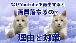 【Youtubeの使い方】高画質なのになぜ画質が落ちるの？3つの理由