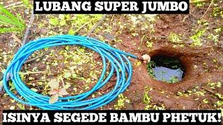 Udah Pernah Liat Belum? Ini Dia Belut Sawah Sebesar Bambu Petukkk | Ngurek Belut Monster Super Besar