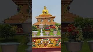 Namo Buddha  #shorts #video #buddhist #peaceful #buddha #