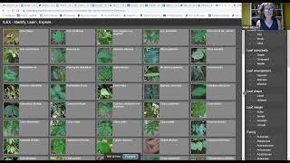 Practice quiz: Sort by morphology