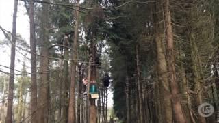 Zipit Forest Adventures at Farran Wood, Co. Cork