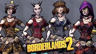 Borderlands 2: Mechromancer Skin Packs DLC