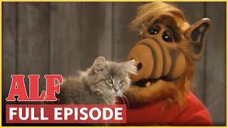 ALF Becomes a Cat Person! | ALF | FULL Episode: S4 Ep9