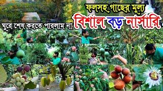 সবচেয়ে বড় নার্সারি ১২ লক্ষ গাছ | ছোট্ট ছোট্ট গাছে থোকা থোকা ফল ঝুলছে নার্সারিতে | বিদেশি ফলসহ গাছ