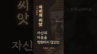 자비의 씨앗 | 자비의 순환법칙 | 부처님말씀 | 석가모니 명언 | 명상의말씀 | 인생 지혜