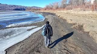 Estuary Hike to Cooney Bay