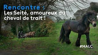 Rencontre : les Seité, amoureux du cheval de trait !