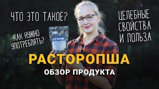 Расторопша. Лечебные свойства, применение. Чем полезен шрот расторопши.