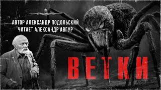 Рассказ ужасов. Автор Александр Подольский | АРХИВЫ ССК