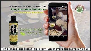 Stephen Health Agency Inc. Presents Scruffy And Pumpkin Jordan