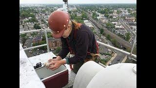 Management of Urban Nesting Falcons in NJ