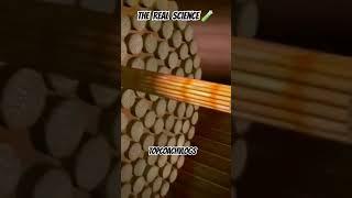 Usain Bolt cheetah fast twitch science explained  #shorts #bolt #fasttwitch