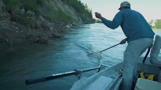 Bow River Dry Fly Fishing