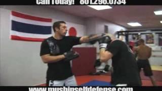 Mushin Self Defense Commercial