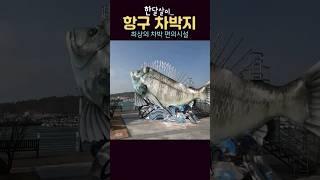 캠핑 차박 가족여행지 중 한 달도 살 수 있는 항구,대형마트에 전통시장까지 편의시설이 최상이고 낚시 관광 레져까지 모두 갖춘 국내여행지 고흥 녹동항. #shorts